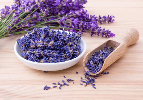 Fragranza alla lavanda